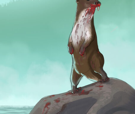 Dom Knapper BDAI y2 otter illustration